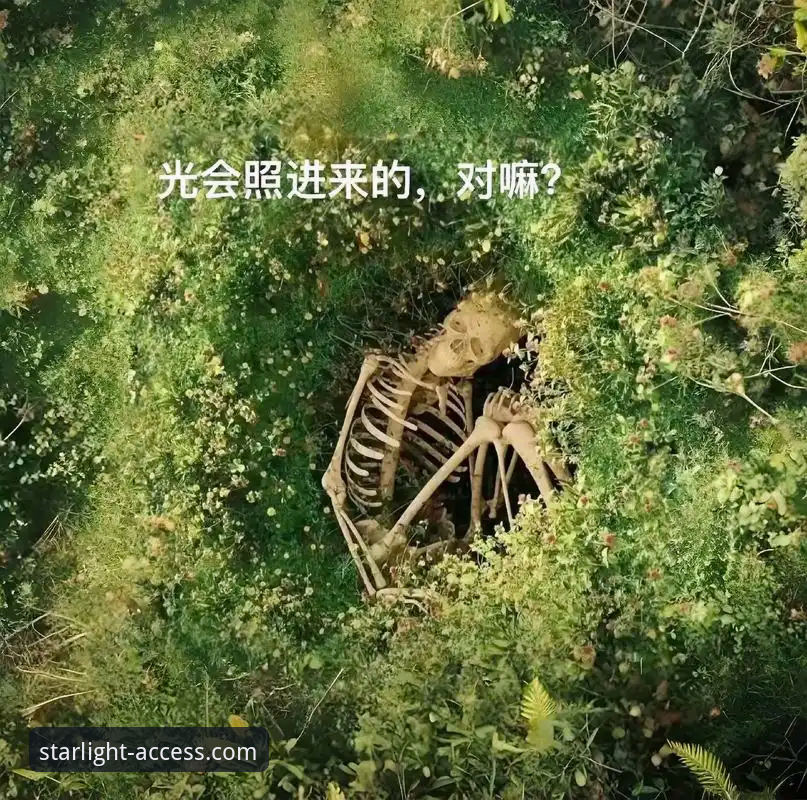 从一场庭审直播，看星空APP如何深度解析商业与体育的交叉叙事